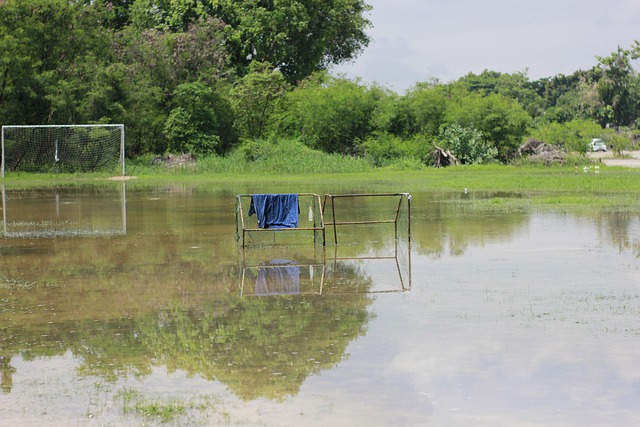 重心转向欧 重心转向欧