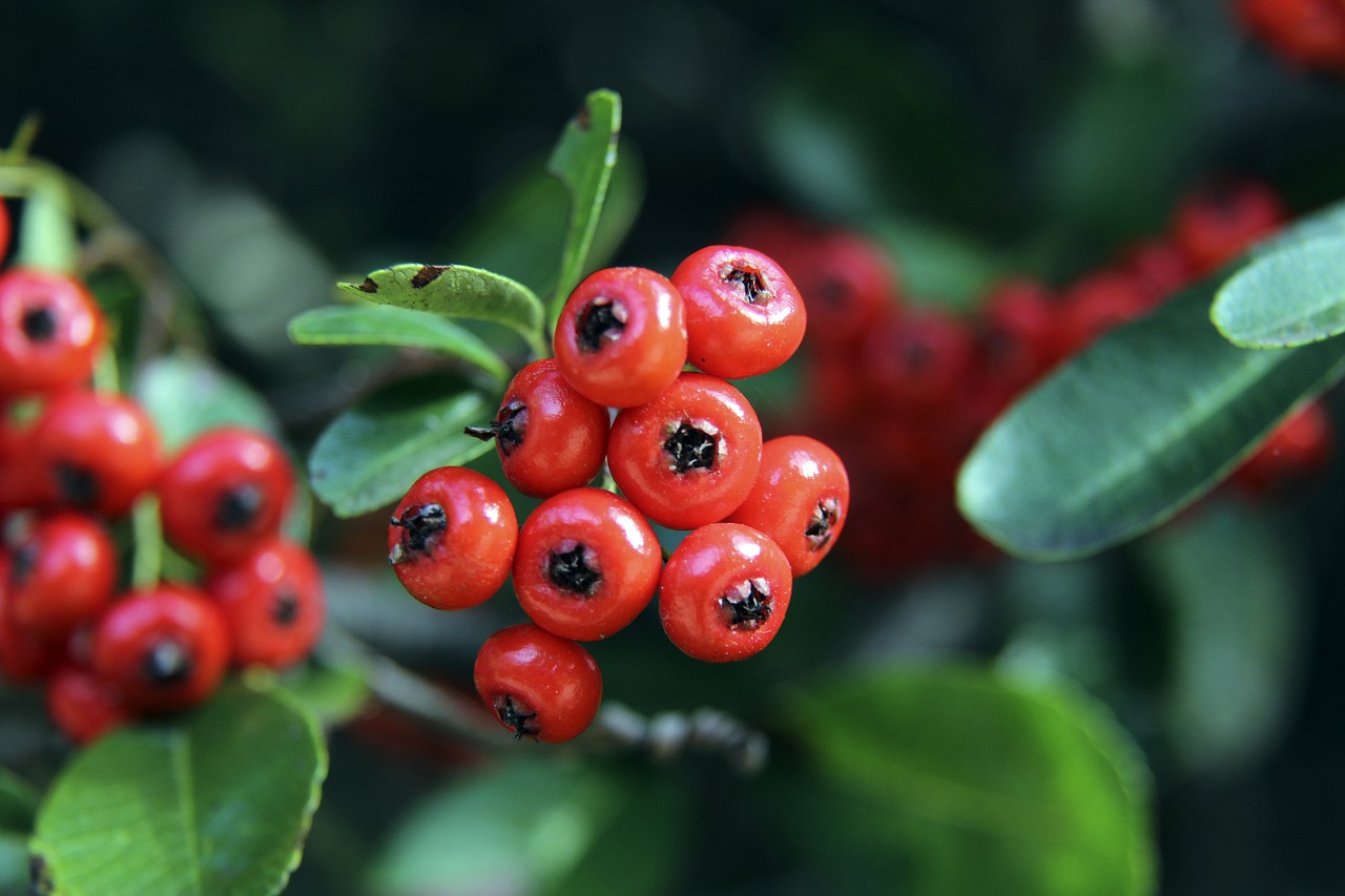 老谢尔盖耶 老谢尔盖耶