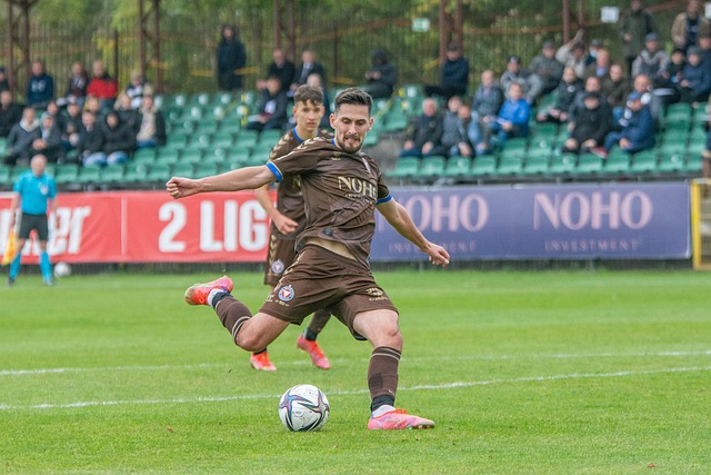 这不仅体现 这不仅体现