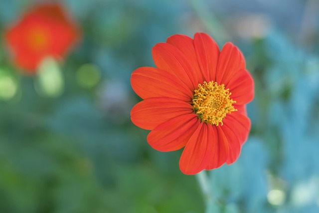 场的数据 场的数据