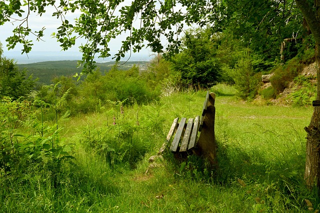 在纸面实力 在纸面实力